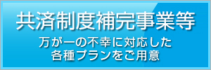 共済制度補完事業等
